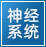 神经疾病
